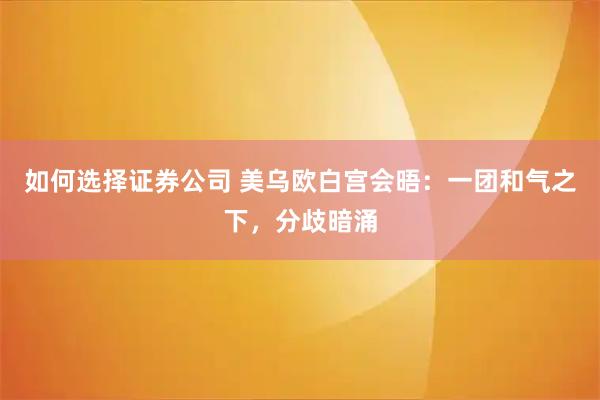 如何选择证券公司 美乌欧白宫会晤:一团和气之下,分歧暗涌