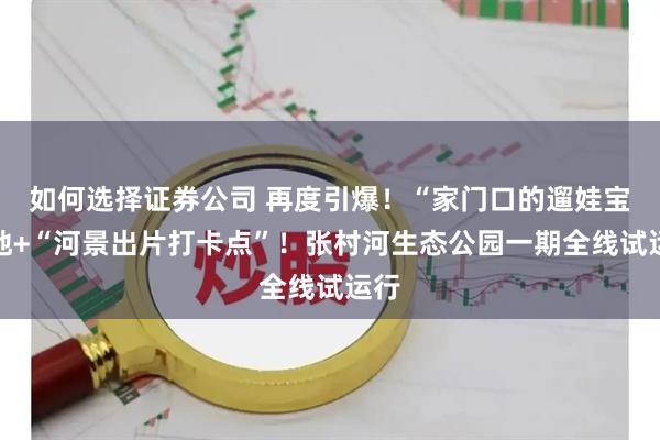 如何选择证券公司 再度引爆!“家门口的遛娃宝藏地+“河景出片打卡点”!张村河生态公园一期全线试运行